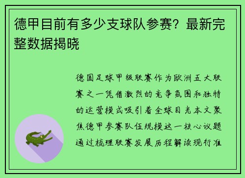 德甲目前有多少支球队参赛？最新完整数据揭晓